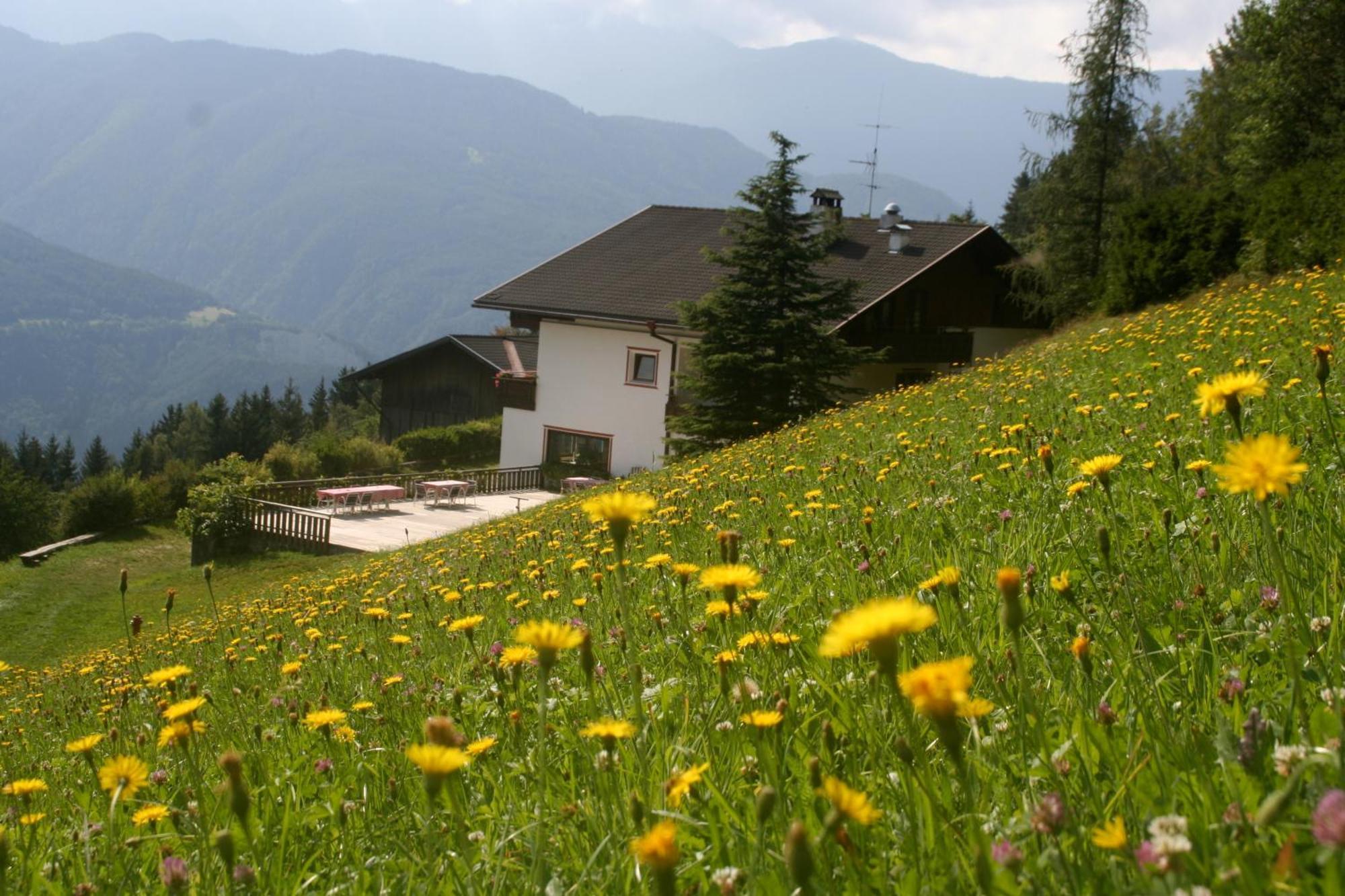 Biogasthaus Plonerhof Brixen Exteriör bild